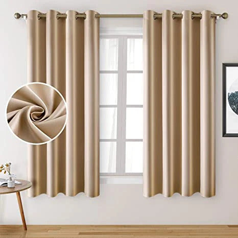 Beige Pair Of Elegant Plain Silk Curtain